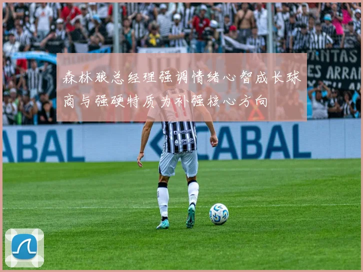 森林狼总经理强调情绪心智成长球商与强硬特质为补强核心方向