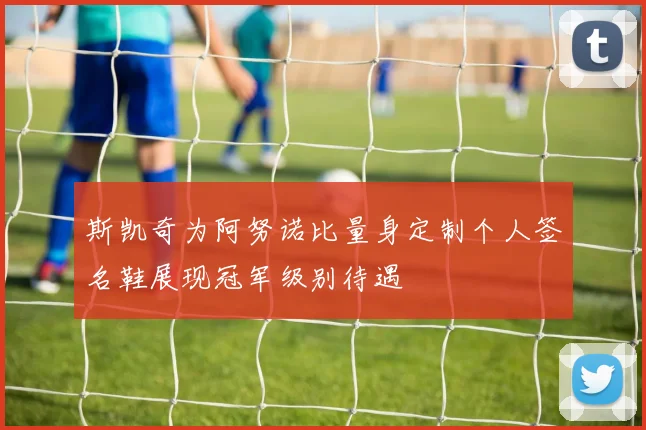 斯凯奇为阿努诺比量身定制个人签名鞋展现冠军级别待遇